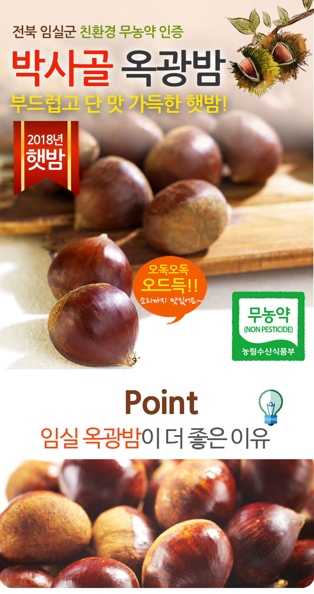 농협몰 [거시기장터]2018년 박사골 옥광밤 4kg(중,대,탈피)