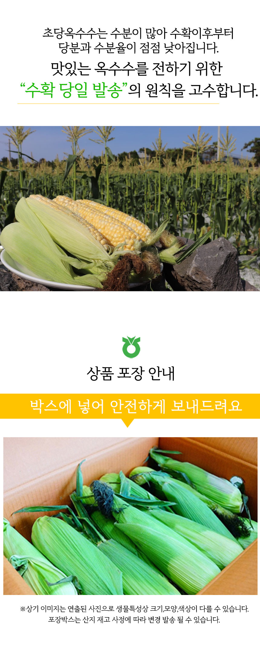 nh_corn_860_06.jpg