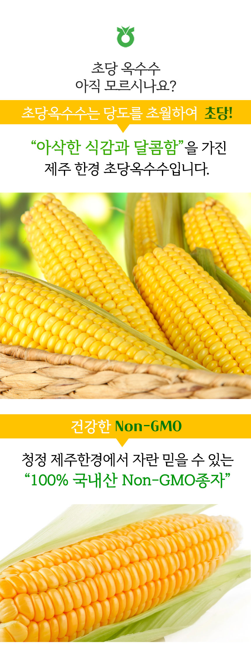 nh_corn_860_04.jpg