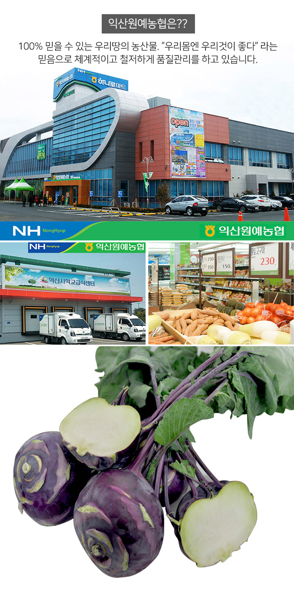 농협몰 [거시기장터] 익산원예농협 아삭아삭  콜라비 3kg